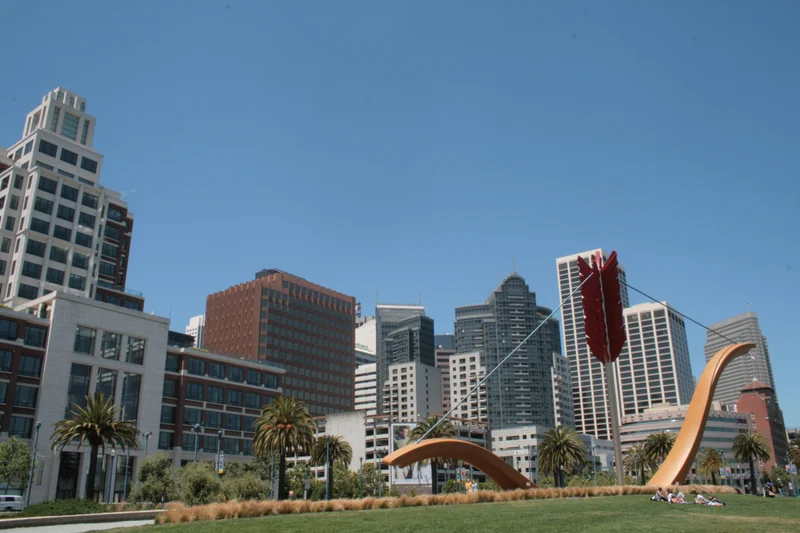 Cupid's Span - gallery image 2