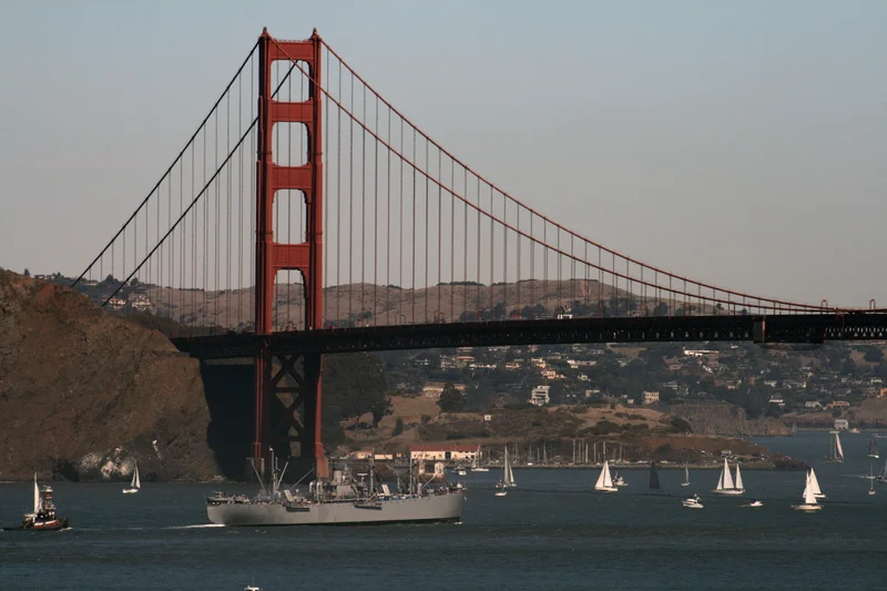 Fleet Week - gallery image 5