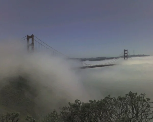 Fog is back in style. - feature image