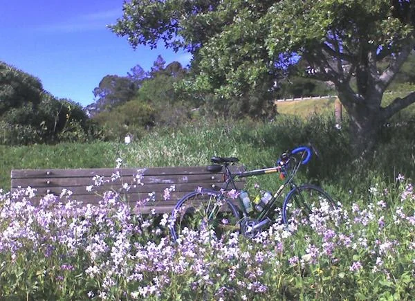 My hiding place - gallery image 1