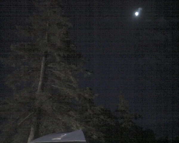 I sleep with the trees. - gallery image 1