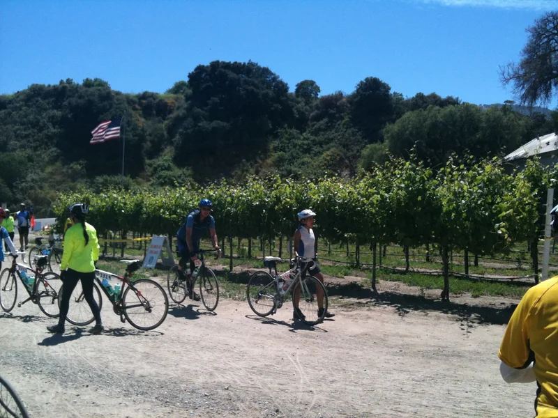 Today's ride. Flat and long. - gallery image 6