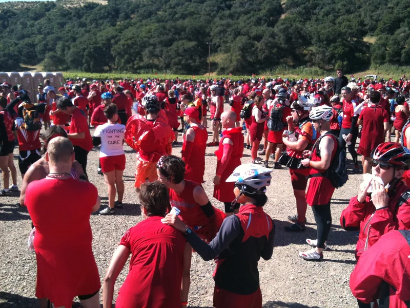 Too many things to post because of the bad service all day. All of our stops were at wineries today. Goodnight. - gallery image 1