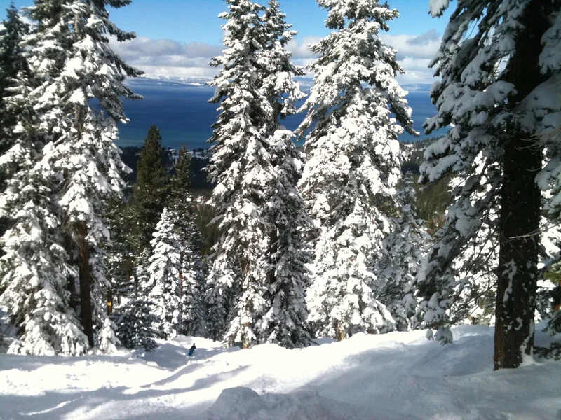 Powder! - gallery image 2