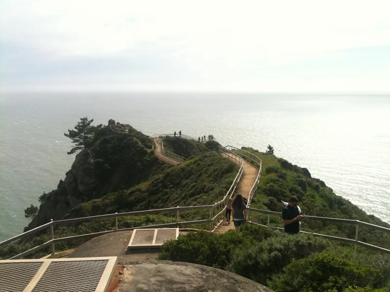 Back to the ocean. - feature image