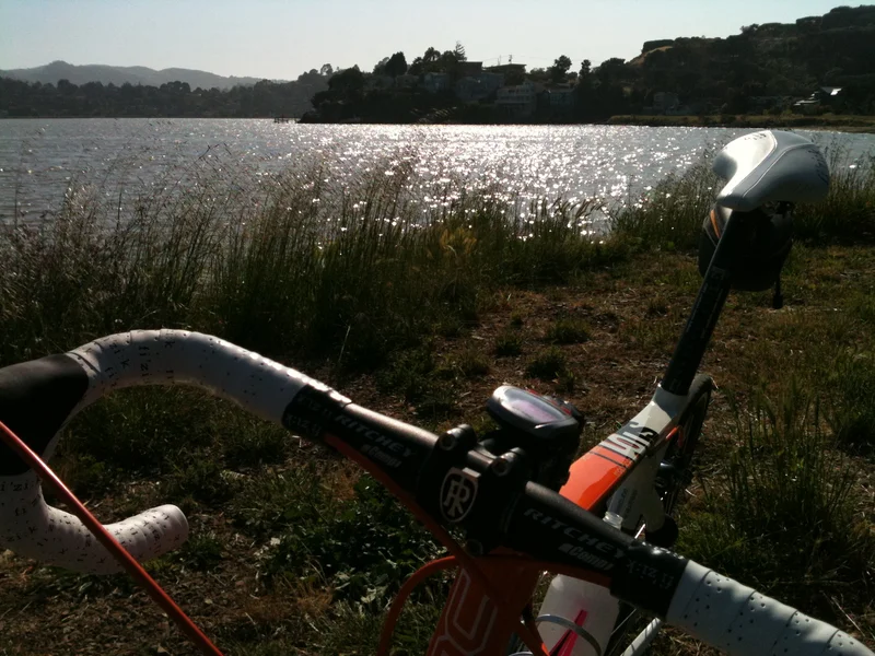 Still Here. - feature image