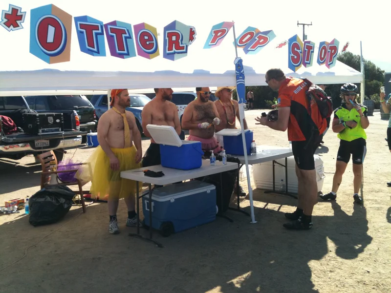 Day 2: Poodles - gallery