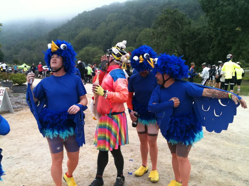 Day 4: Birdies - gallery image 1