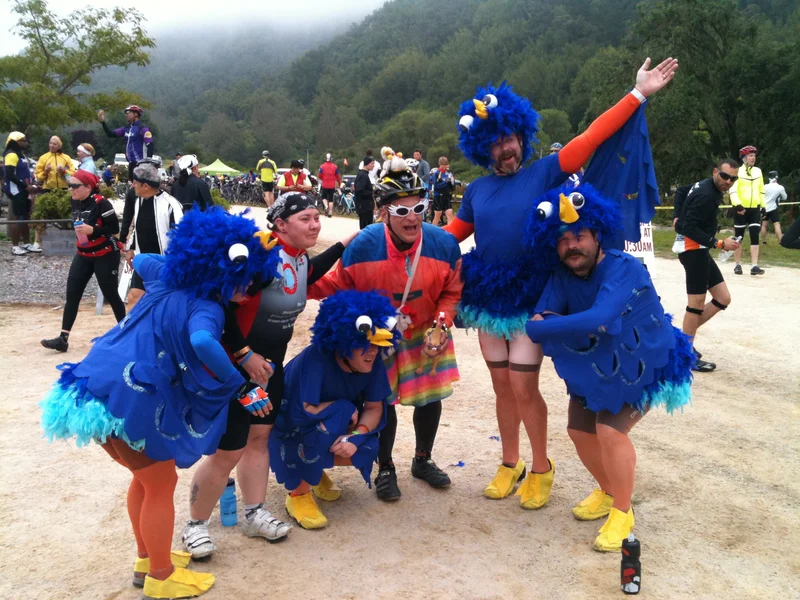 Day 4: Birdies - gallery image 2