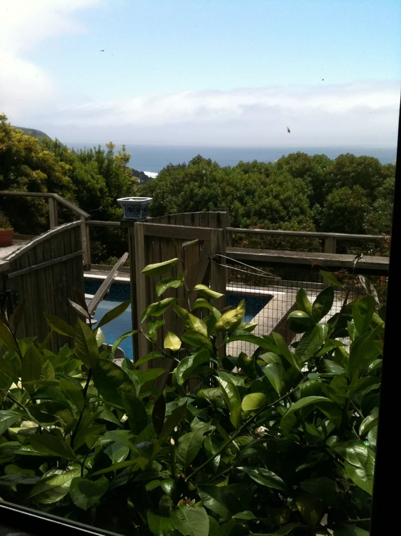 Oui. C'est la mer. - gallery image 5