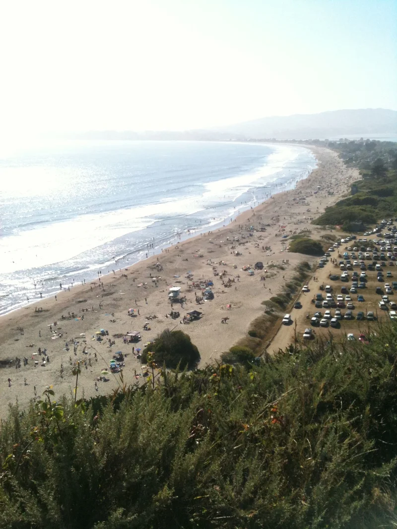 Stinson Beach today was amazing. - feature image