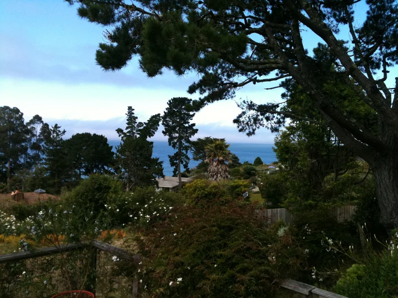 Oui. C'est la mer. - gallery image 4