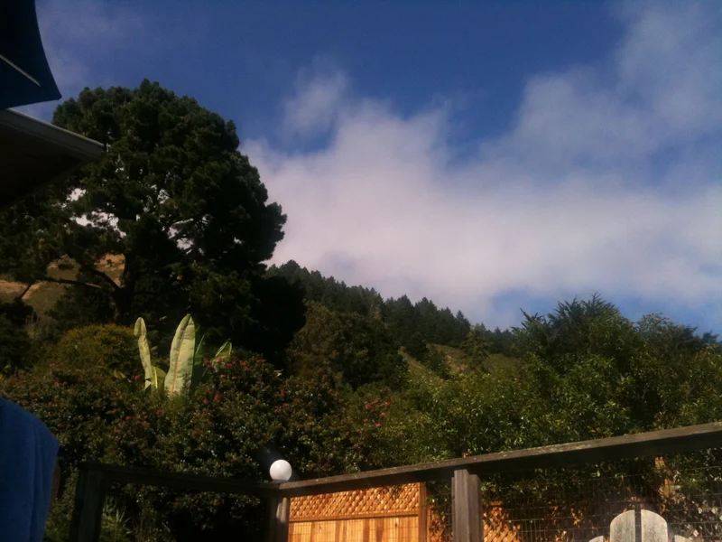 Oui. C'est la mer. - gallery image 6