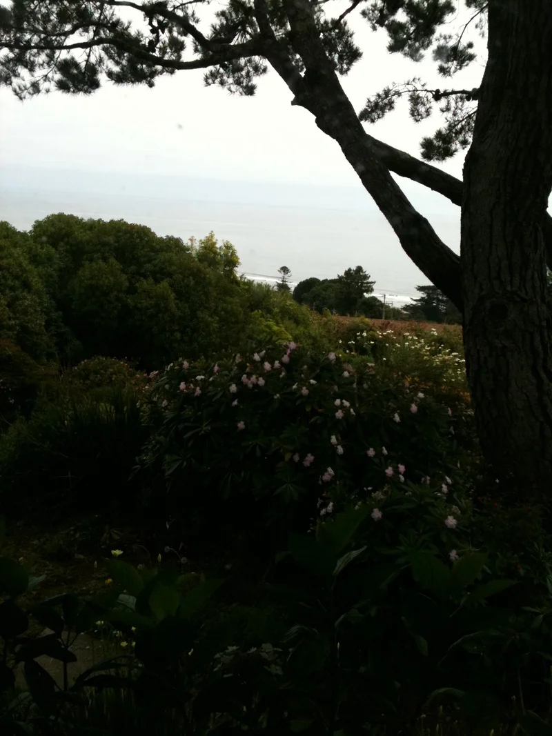 Goodbye Stinson. I'll miss you. - feature image