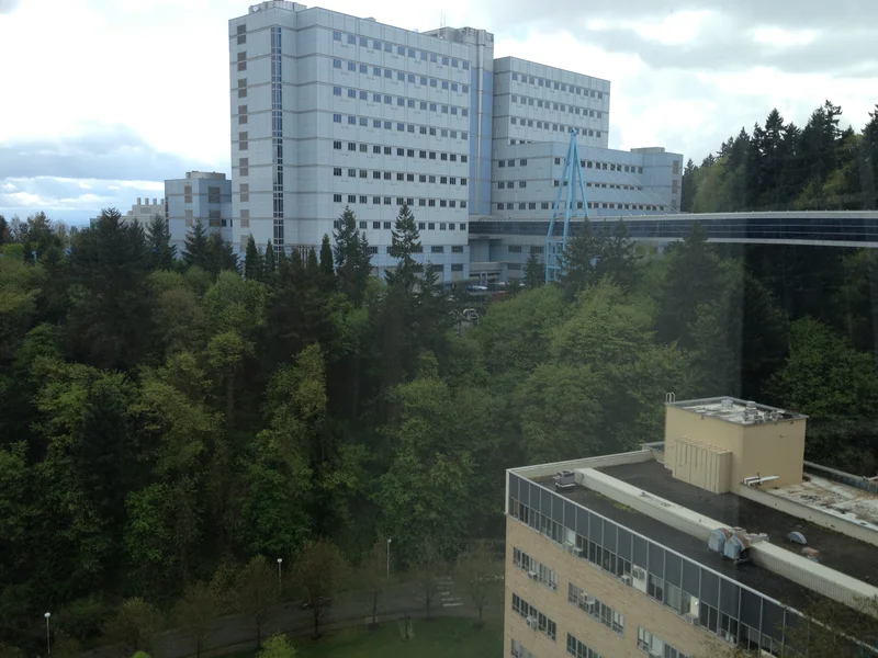 The dream of the '90s is still alive - gallery image 8