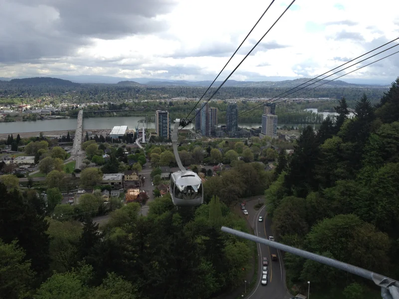 The dream of the '90s is still alive - gallery image 9