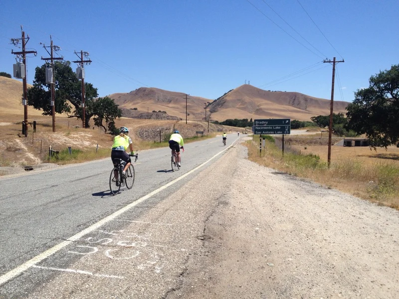 Bradley! - gallery image 3