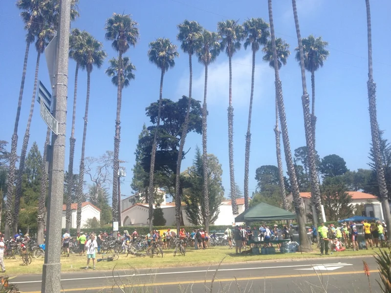 Paradise Pit! - gallery image 2