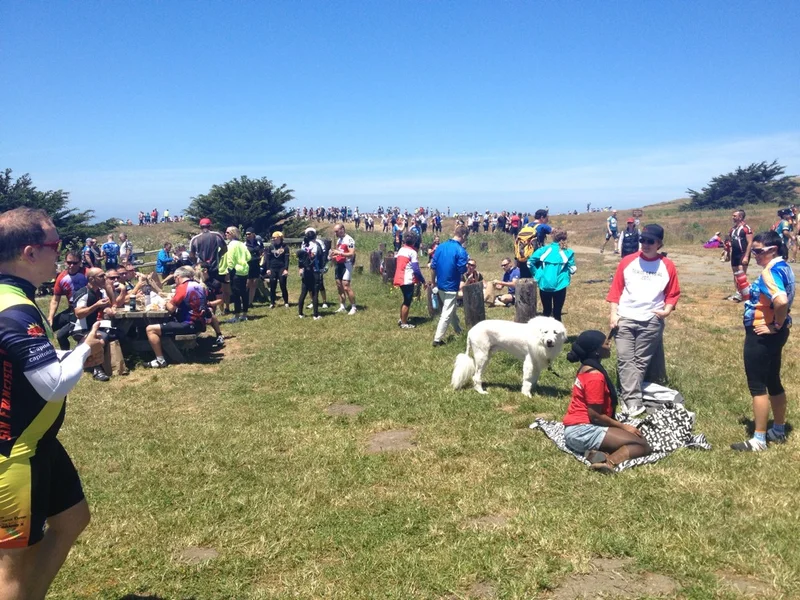 Outta Here - gallery