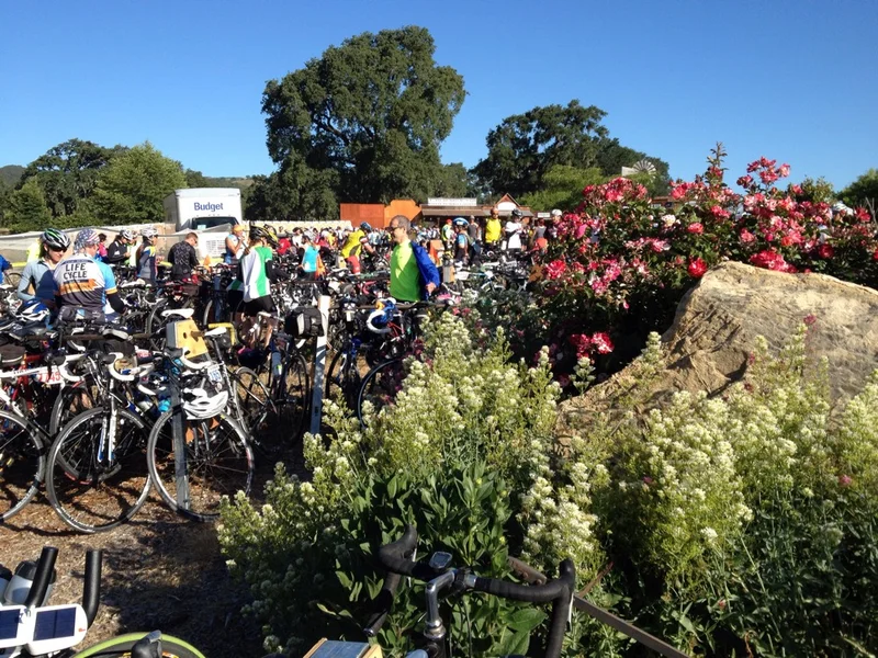 Half Way to LA! - gallery