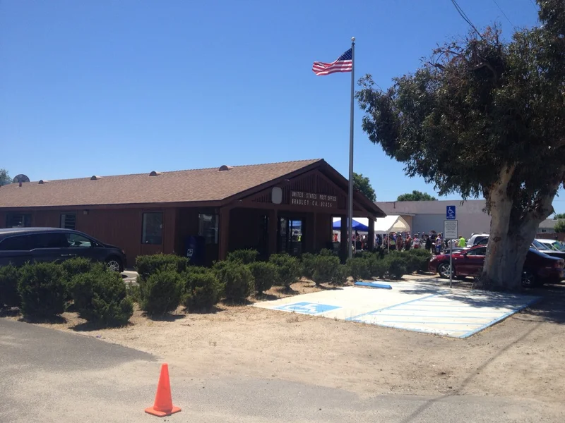 Bradley! - gallery image 2