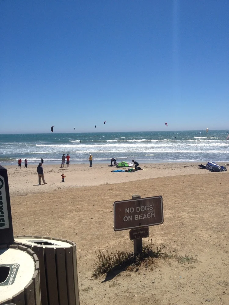 Outta Here - gallery