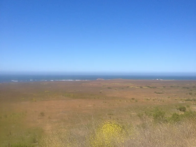 Half Way to LA! - gallery