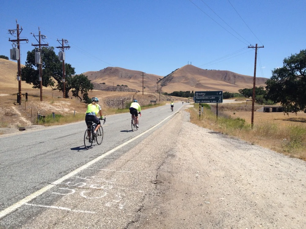 Bradley! - feature image