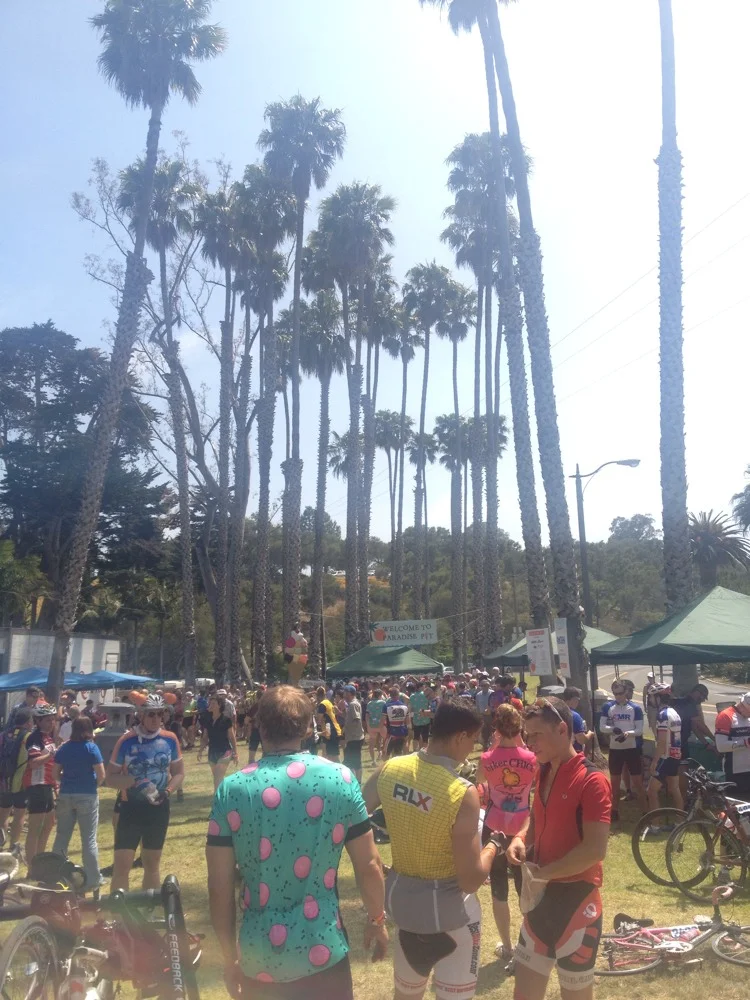 Paradise Pit! - gallery image 1