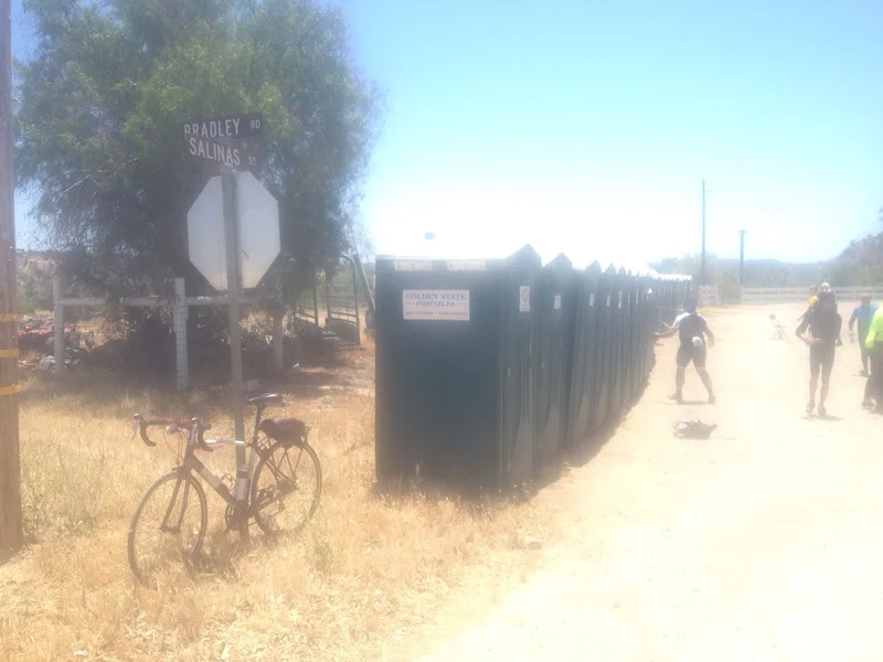 Bradley! - gallery image 5