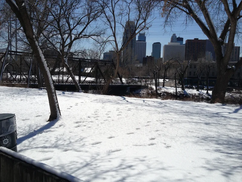 Minneapolis at its best - gallery image 2