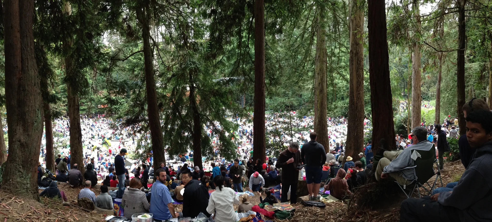 Stern Grove - feature image