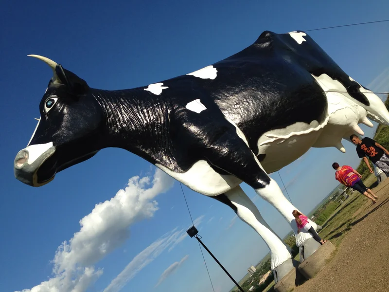 Bismarck - gallery image 1