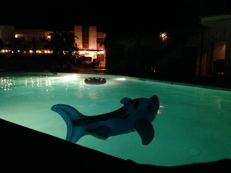 Palm Springs - gallery image 6