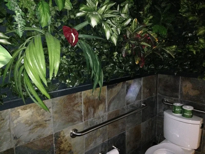 Tropical - feature image