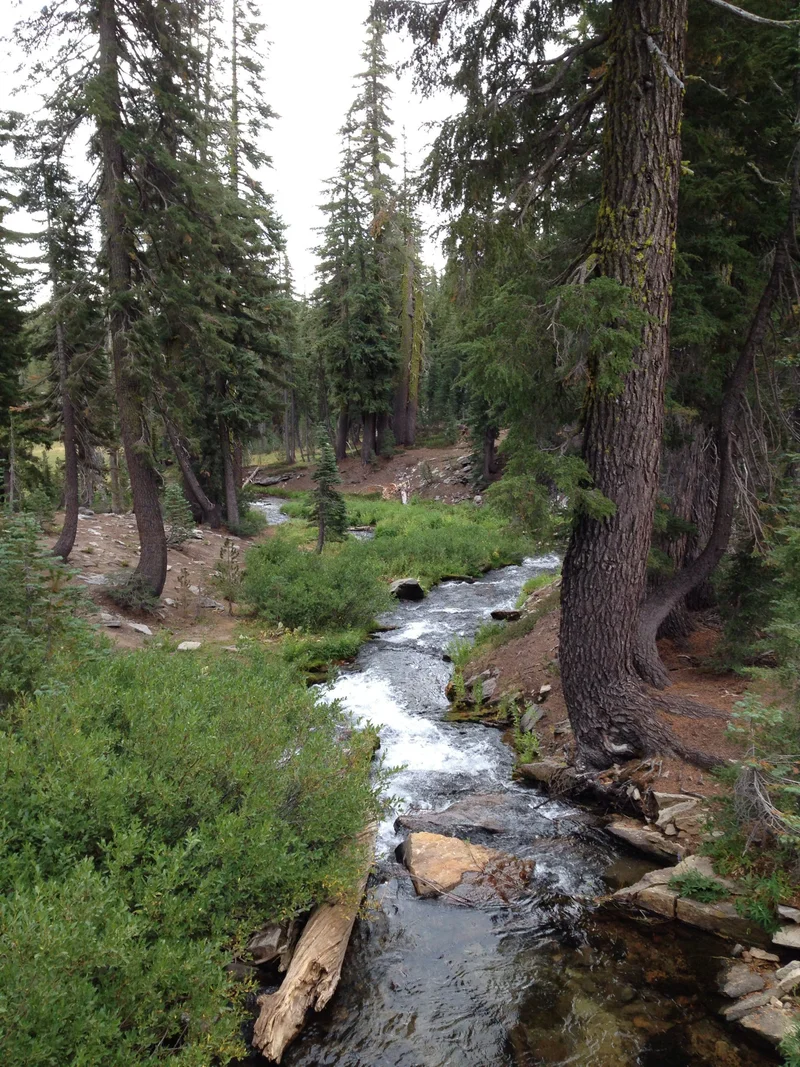 Lassen - gallery image 13