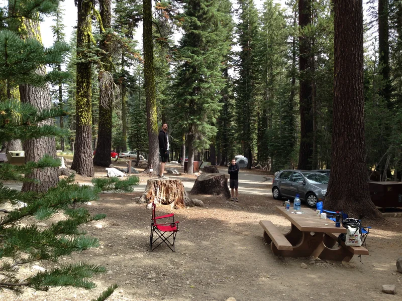 Lassen - gallery image 19