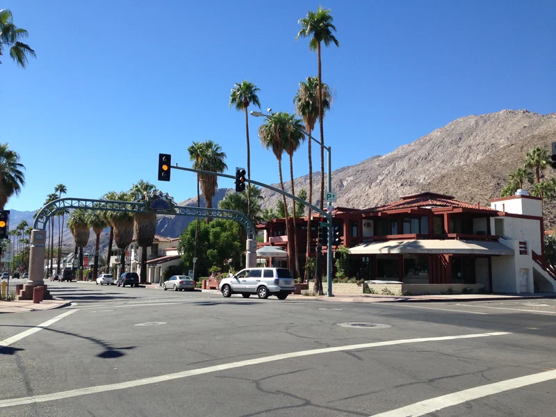 Palm Springs - gallery image 5