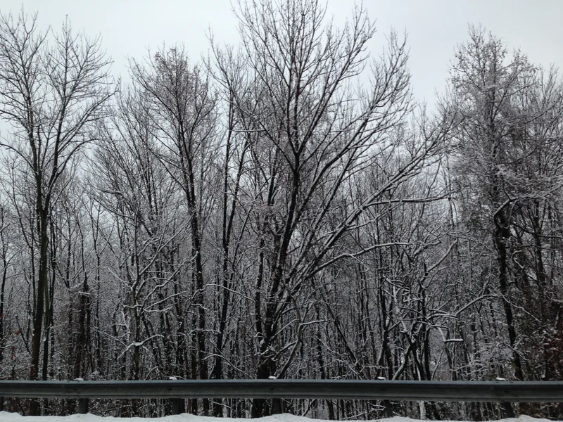 Bal-da-more - gallery image 2