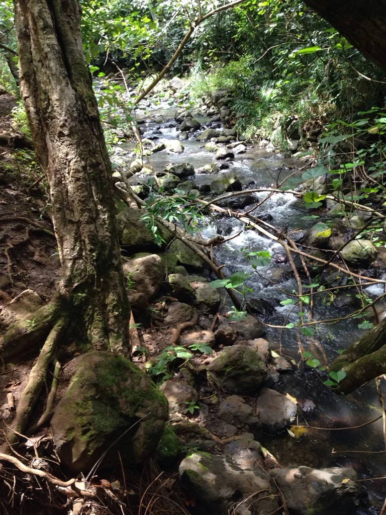 Hawai'i - gallery image 4