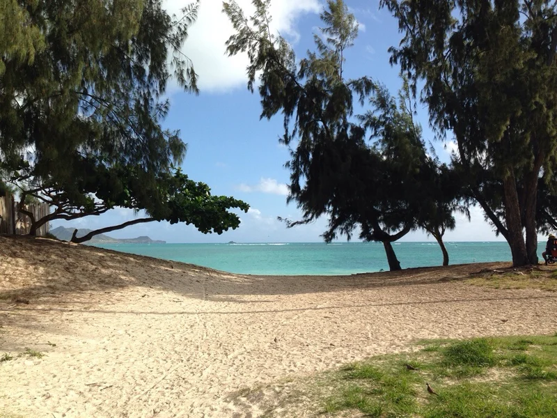 Hawai'i - gallery image 7