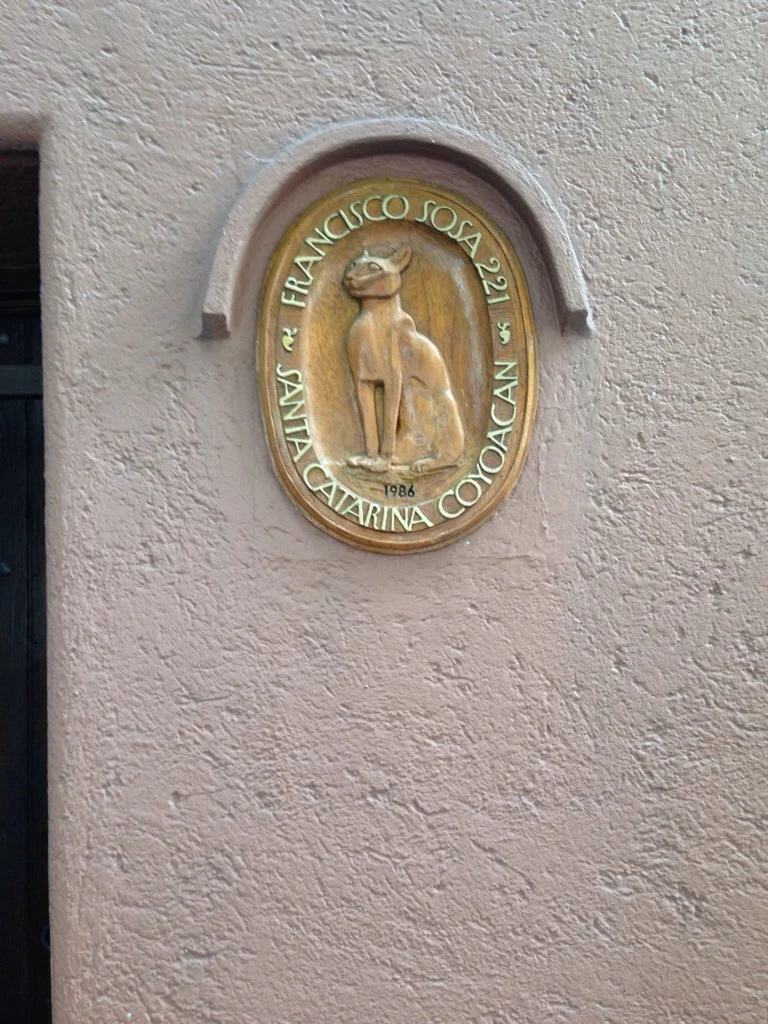 Coyoacan - gallery image 7