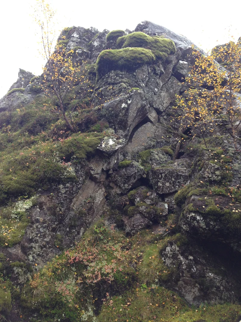 Golden Circle - gallery image 14