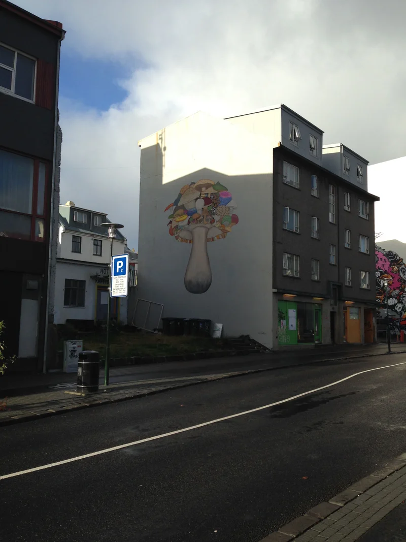 Reykjavik Art - gallery image 5