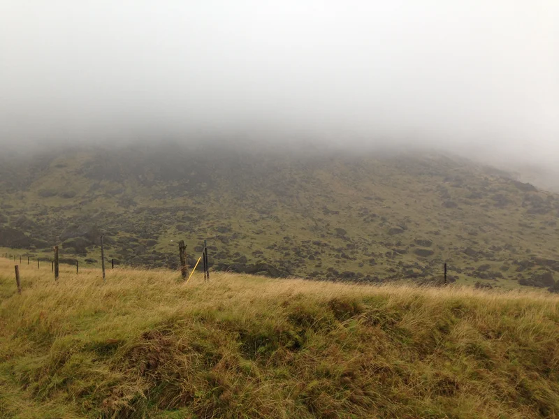 Golden Circle - gallery image 1