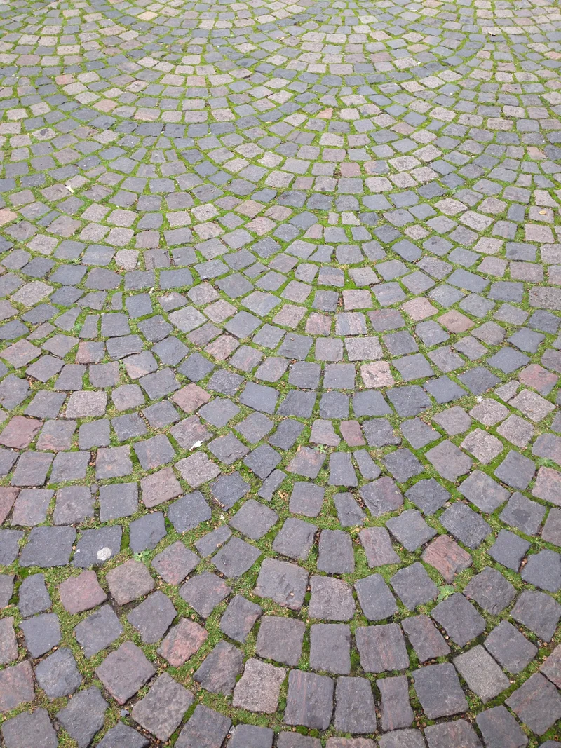 København - gallery image 8