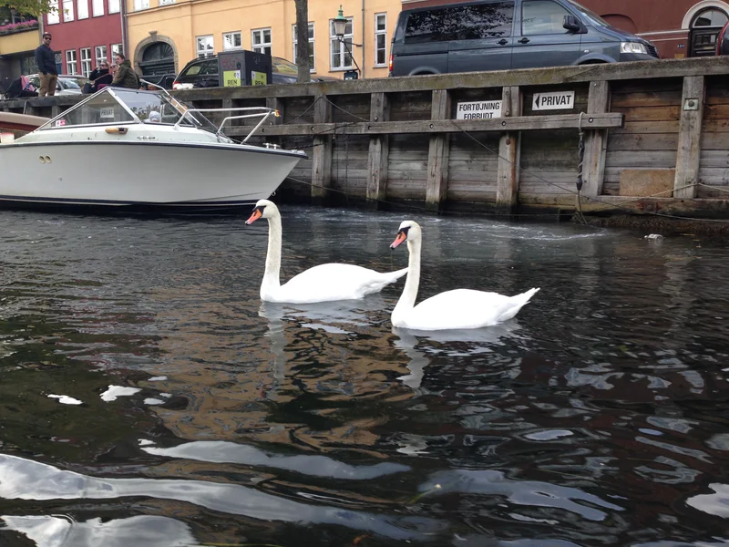 København - gallery image 87