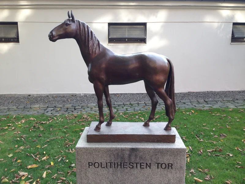 Ohhh Scandinavia... - gallery image 25