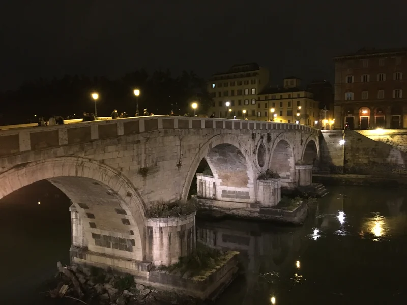 Roma - gallery image 31