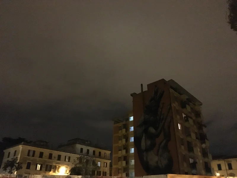 Roma - gallery image 24